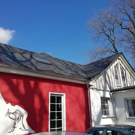 Friedrichsgrun Kleines Studio Im Eichenwaeldchen, 1 Zimmer Kueche Bad מראה חיצוני תמונה