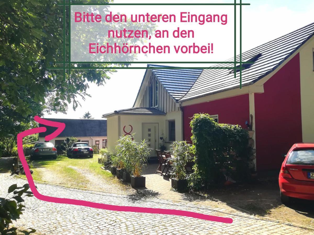 Friedrichsgrun Kleines Studio Im Eichenwaeldchen, 1 Zimmer Kueche Bad מראה חיצוני תמונה