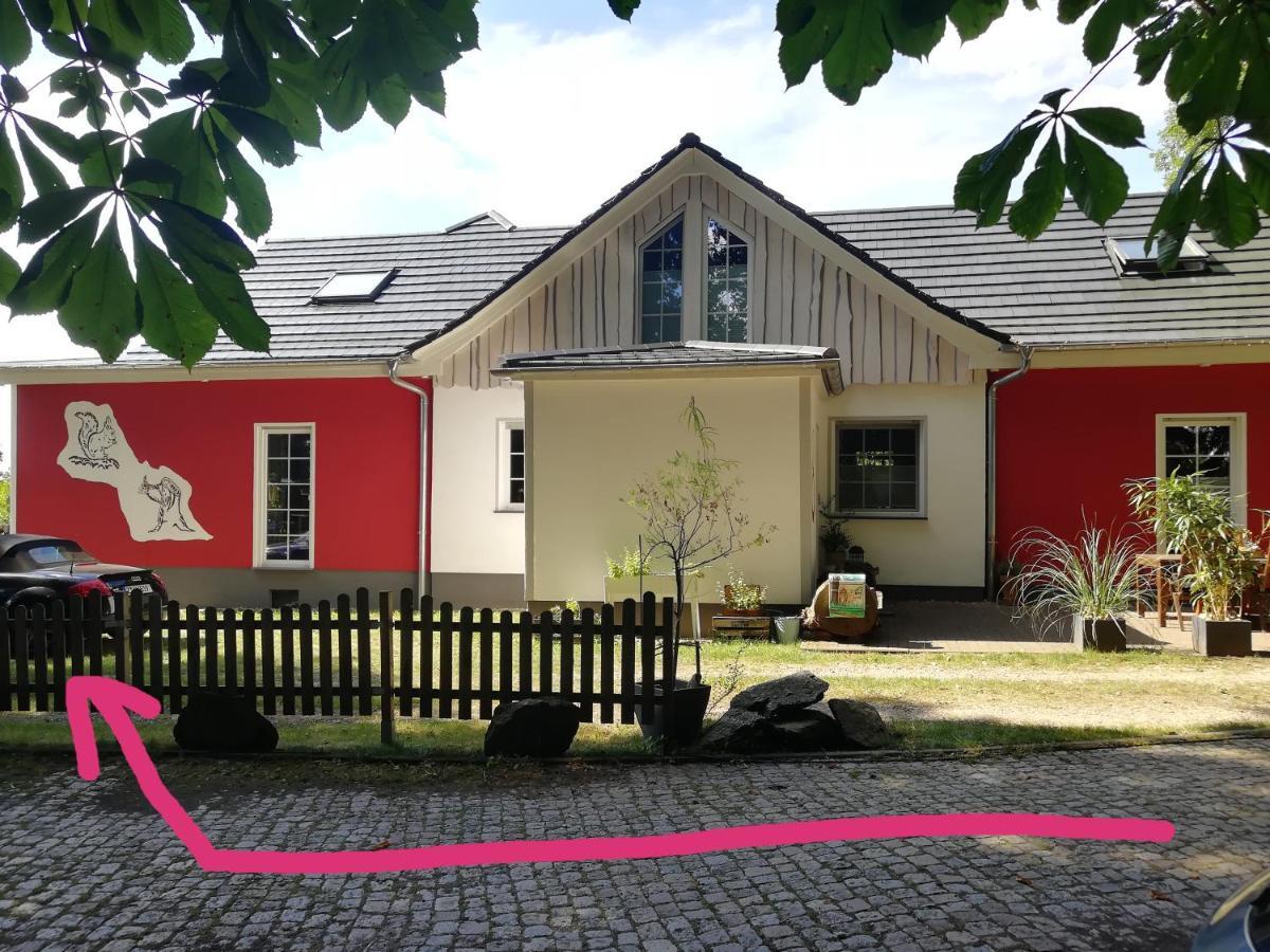 Friedrichsgrun Kleines Studio Im Eichenwaeldchen, 1 Zimmer Kueche Bad מראה חיצוני תמונה